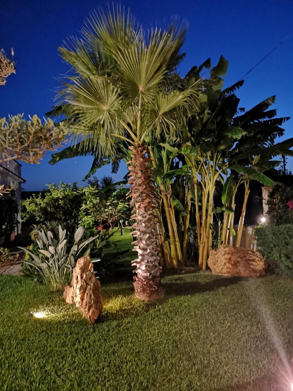 Villa Araucaria Partinico Εξωτερικό φωτογραφία